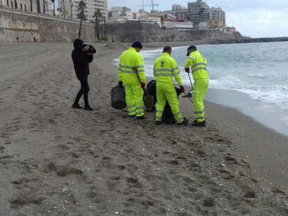 Trabajadores retiran medusas peligrosas de la playa de  Ceuta el pasado 15 de abril. 