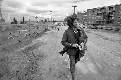 Pastor de ovejas en el barrio de Orcasitas (Madrid, 1986).