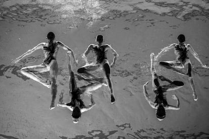 Fotografía ganadora del tercer premio individual de la categoría de deportes, tomada por el fotógrafo sueco Jonas Lindkvist del Dagens Nyheter. La fotografía muestra al equipo de natación sincronizada Neptun Synchro durante una exhibición realizada en Estocolmo (Suecia) el 13 de diciembre de 2015.