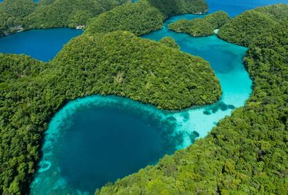 La razón por la que es el destino perfecto para los amantes de lo sostenible es que el 28,2% de su territorio está protegido: es el país con el porcentaje más alto en 2014. Este conjunto de más de 300 islas de origen volcánico y coralino en el mar de Filipinas cuenta con ecosistemas únicos en los que la protección de las aguas es prioritario. Además, es uno de los países con mayor libertad de prensa según Freedom House. Dónde perderse: En el lago de las Medusas. Más información: magnificentmicronesia.com