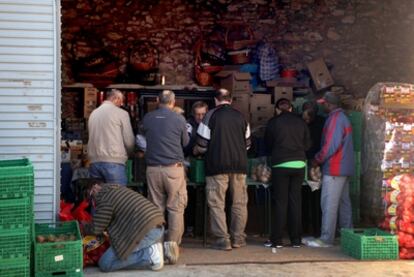 Voluntarios de Cáritas Diocesanas preparan lotes de alimentos en L'Aldea.