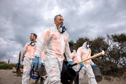 Several workers prepare to clean the beach.