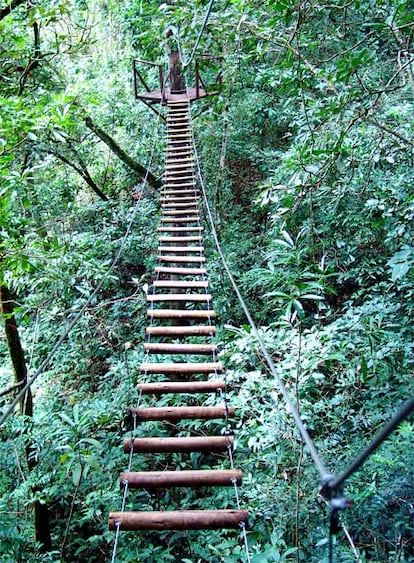 Este tipo de puentes se encuentra en los frondosos bosques brasileños de Vagafogo. Aquí la adrenalina del viajero se convierte en uno de los protagonistas del recorrido por la reserva.