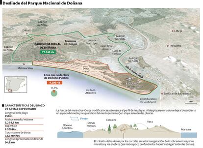 Mapa del deslinde del Parque de Doñana que prepara el Gobierno para proteger la costa.