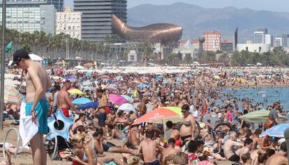 La platja de la Barceloneta, aquest agost.