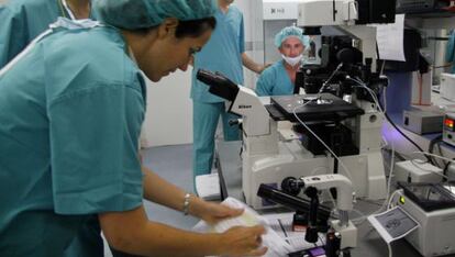 Una mujer en el laboratorio de un instituto de investigaci&oacute;n. / tania castro