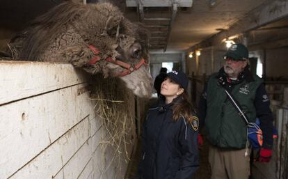 Personal de la SPCA y de HSI en el rescate de los animales del zoológico de Saint-Édouard.