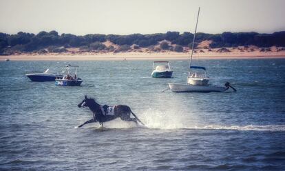 Las carreras discurren paralelas a la desembocadura del Guadalquivir y del Parque Nacional de Doñana, que se extiende al otro lado del río. En pleno atardecer, algunos espectadores siguen la competición desde sus barcos recreativos.