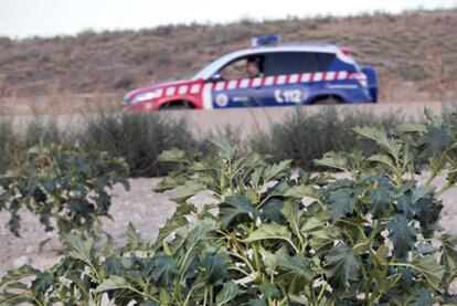 Un coche policial pasa junto a unos arbustos de estramonio en los alrededores del caserón de Getafe donde murieron dos jóvenes tras ingerir una infusión de esta planta.
