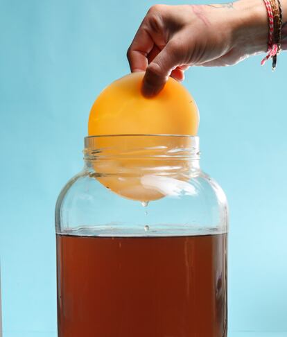 If we refer to the base recipe, kombucha should only contain four ingredients: tea, sugar, water and a symbiotic colony, known as a scoby (Symbiotic Culture of Bacteria and Yeast).