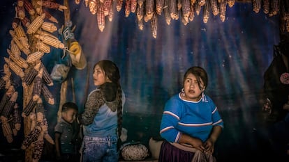 Indígenas wixarikas participaron en la XVI Feria del maíz nativo Niwetsika en la comunidad de El Roble, Nayarit, el 19 de marzo de 2023. Durante la feria se realizaron danzas y exposiciones de diversas especies de maíz y comida tradicional, como parte de un esfuerzo de la comunidad para preservar las semillas nativas en la región.