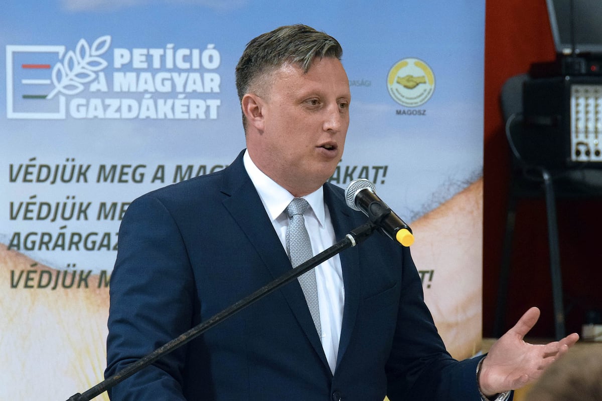 Balázs Gyorffy: Un eurodiputado de Orbán dimitió por un violento altercado con una mujer mientras estaba borracho | Internacional