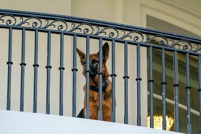 Joe Biden Casa Blanca