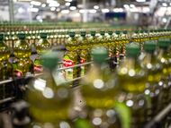 Planta de embotellado de aceite de oliva Carbonell, marca propiedad del grupo Deoleo.
