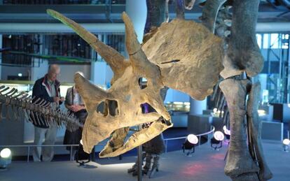 Esqueleto de un dinosaurio en el museo Naturalis, en Leiden (Holanda).