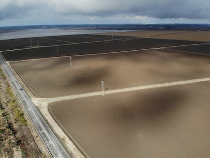 Terrenos no cultivados de arroz en la campaña 2022, en la localidad sevillana de Isla Mayor.