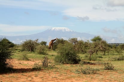 Condado de Loitokitok (Kenia). El camino de la capital, Nairobi, a Loitokitok, en el sur de Kenia, con el monte Kilimanjaro en el horizonte.