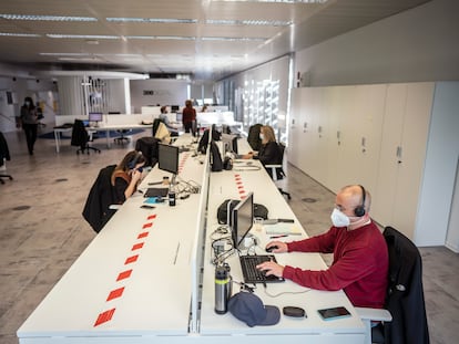 Varios trabajadores de la empresa BeeDigital, en San Sebastián de los Reyes, durante su jornada laboral en el día que asisten a la oficina de forma presencial.