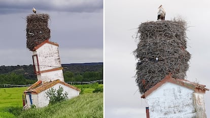 Nido de cigüeña en Arlanza (Burgos), en una imagen cedida.