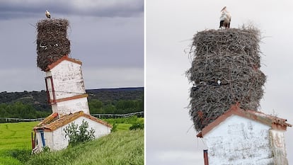 Nido de cigüeña en Arlanza (Burgos), en una imagen cedida.