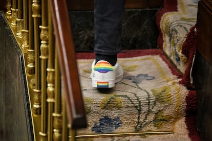 Detail of the rainbow that the socialist Víctor Gutierrez had today in his shoe during the debate in Congress to penalize false conversion therapies. 