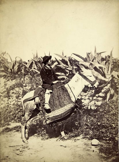 Joven montado en burro, en Córdoba.