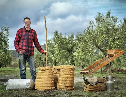 Miguel Ángel García, en uno de sus olivares en Benifallim (Alicante).