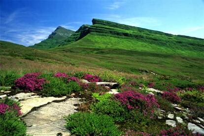 A lo largo de la ruta se suceden los suaves paisajes de praderas o branizas. Al fondo, el pico de Castro Valnera.