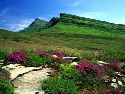 A lo largo de la ruta se suceden los suaves paisajes de praderas o branizas. Al fondo, el pico de Castro Valnera.