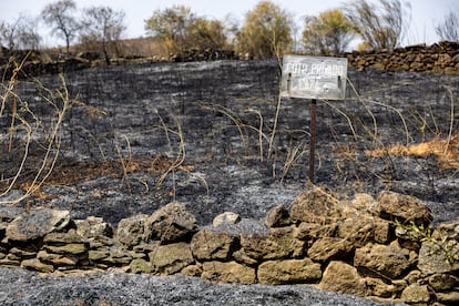 Incendios en España que están activos