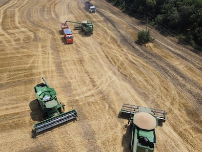 Cosechadoras recogen trigo en un campo cerca de Tbilisskaya, en Rusia, el pasado julio.