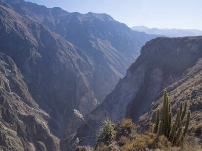 Cañón del Colca, donde estaba de turismo el español fallecido.