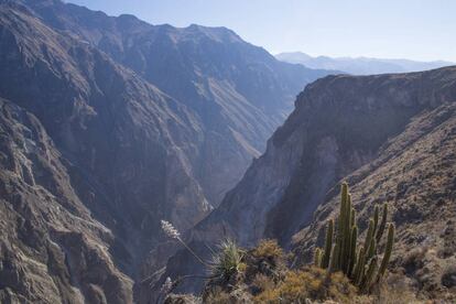 Cañón del Colca, donde estaba de turismo el español fallecido.