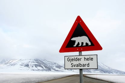 Señal de peligro por la presencia de osos polares en Svalbard (Noruega).