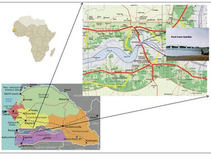 El sueño del puente transgambiano