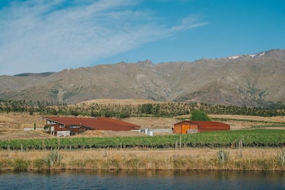 Terreno de Amisfield Vineyard, en Nueva Zelanda. Imagen proporcionada por la bodega.