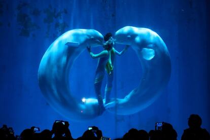 Espectáculo entre ballenas blancas con sus entrenadores en el Aquarium de Harbin (China).