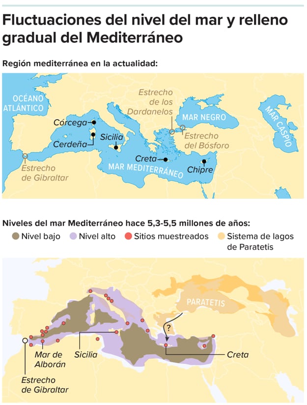 Durante la tercera fase de la crisis salina del Messiniense, es posible que la cuenca mediterránea se haya vuelto a llenar con agua dulce procedente del antiguo sistema lacustre de Paratetis. Los niveles altos (morado) y bajos (marrón) del agua de este periodo (hace entre 5,33 y 5,55 millones de años) se muestran en el mapa inferior.
