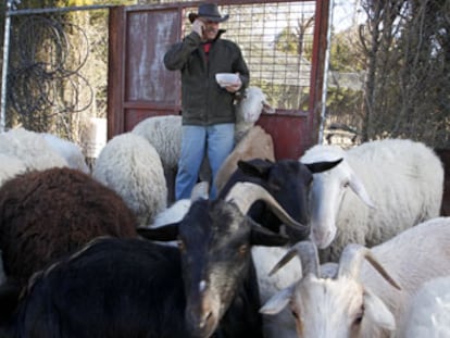 Vicente Menchén en su finca, alimentando a cabras ovejas y otras especies.
