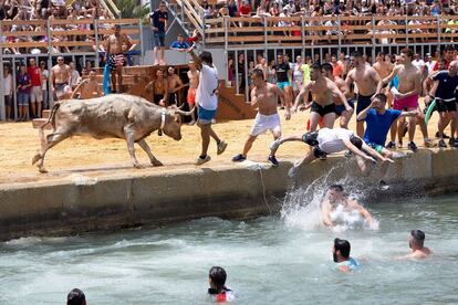 Espectáculo de "Bous a la mar", en Denia.