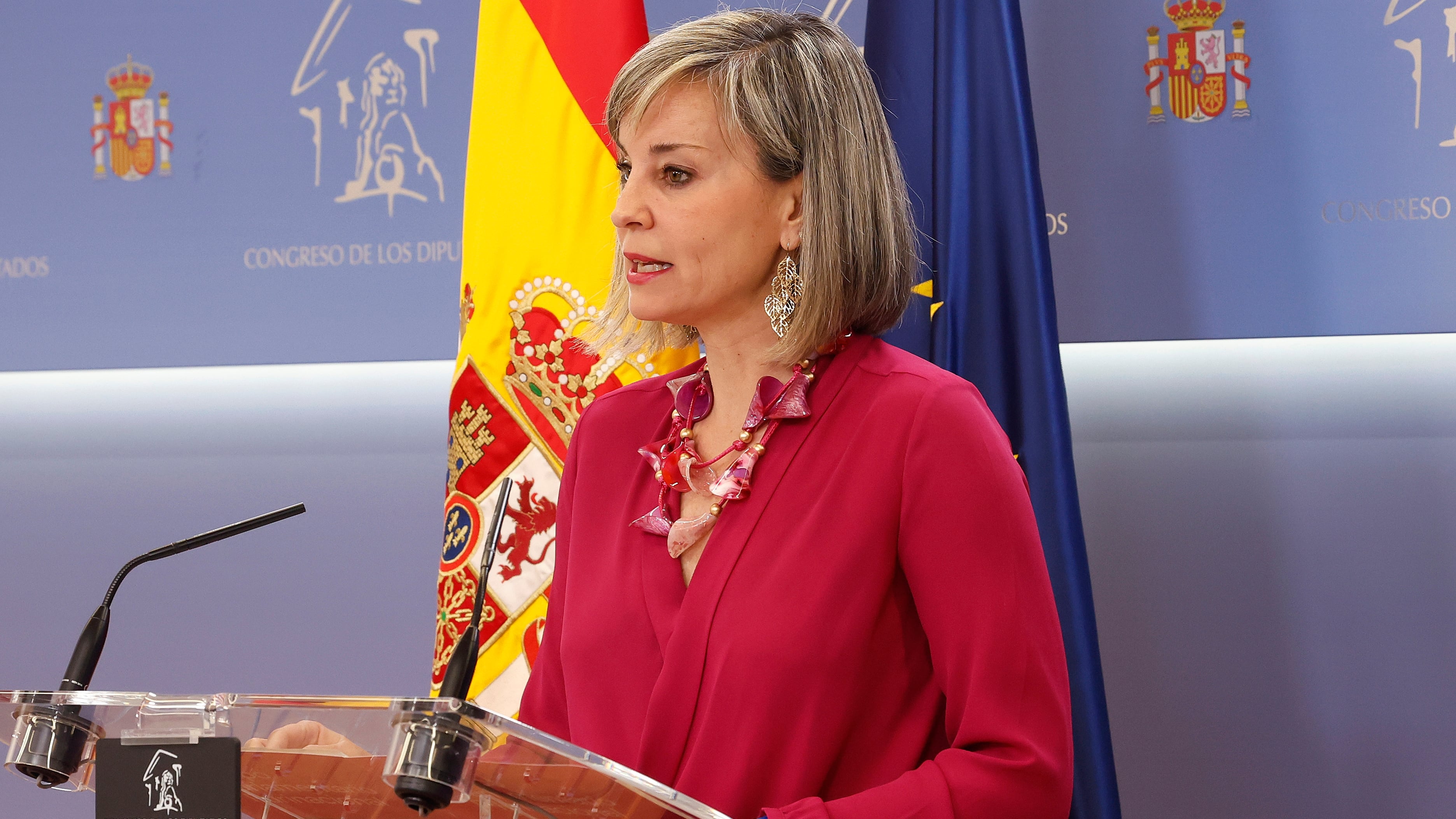 The PSOE will support in Congress a law for the embargo of weapons to Israel | Spain