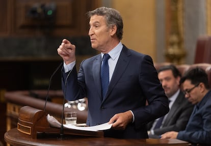 El presidente del PP, Alberto Núñez Feijóo, interviene en el Congreso de los Diputados, el pasado 9 de julio.
