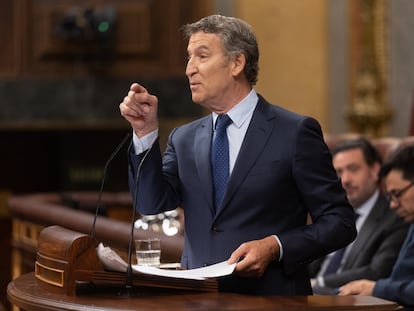 El presidente del PP, Alberto Núñez Feijóo, interviene en el Congreso de los Diputados, el pasado 9 de julio.