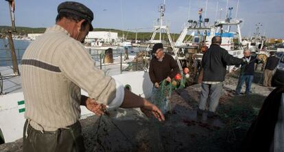 Pescadores preparan los aparejos de las embarcaciones, en Barbate.