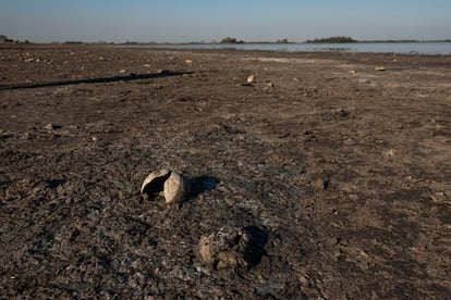  La laguna de Lobos se convirtió en un desierto.