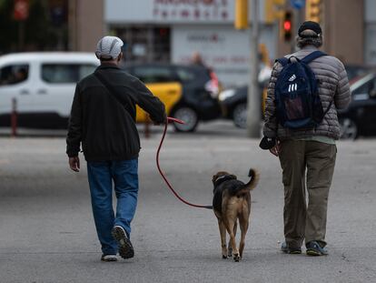 Un hombre pasea con su perro  en Barcelona