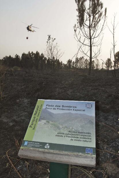 Zona arrasada el domingo por las llamas dentro de los límites del Parque Natural do Xurés.