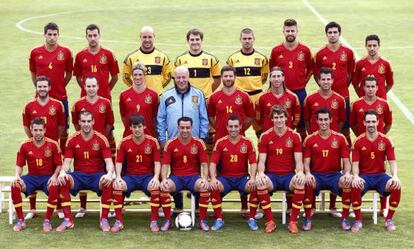 Los jugadores y Del Bosque que posan para fotografía oficial