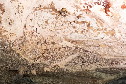 Sebuah dinding di dalam gua di pulau Sulawesi, Indonesia.