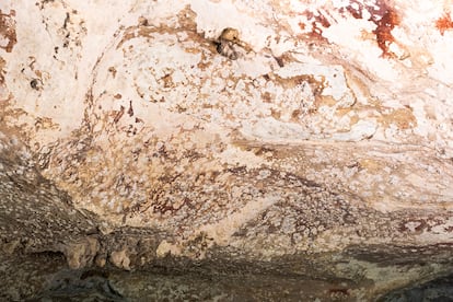 A wall inside the cave on the island of Sulawesi, Indonesia.